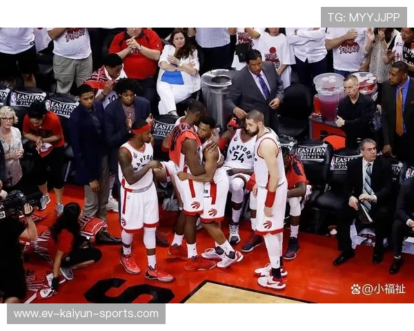 公牛队强化攻防，目标季后赛突围，公牛队进季后赛